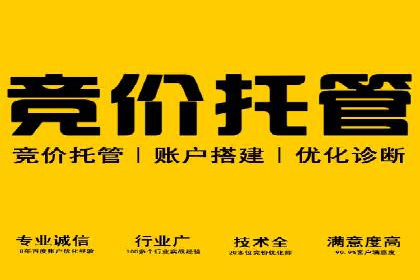 探索SEM推广优化的最佳实践：成功案例集锦